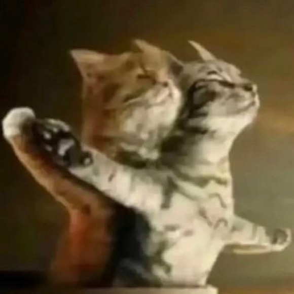 poptartcat67
